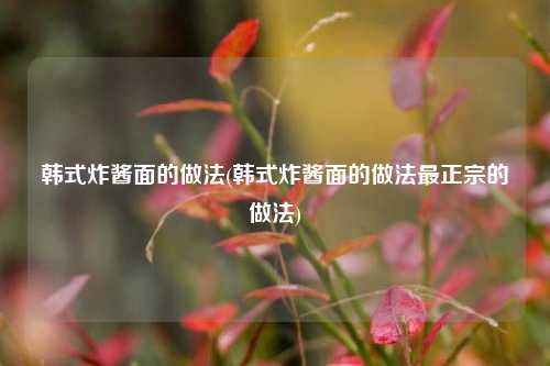 韩式炸酱面的做法(韩式炸酱面的做法最正宗的做法)