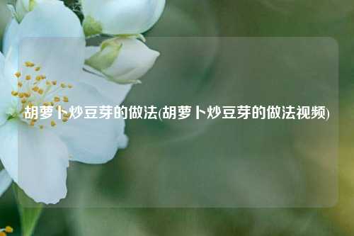 胡萝卜炒豆芽的做法(胡萝卜炒豆芽的做法视频)