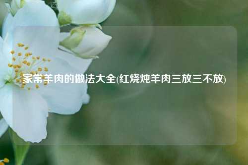 家常羊肉的做法大全(红烧炖羊肉三放三不放)