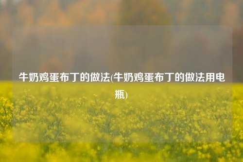 牛奶鸡蛋布丁的做法(牛奶鸡蛋布丁的做法用电瓶)