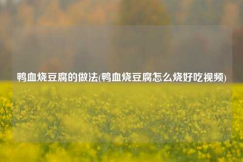鸭血烧豆腐的做法(鸭血烧豆腐怎么烧好吃视频)