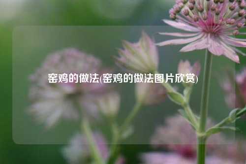 窑鸡的做法(窑鸡的做法图片欣赏)