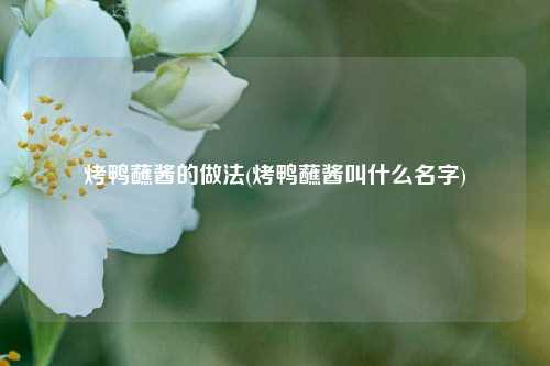 烤鸭蘸酱的做法(烤鸭蘸酱叫什么名字)
