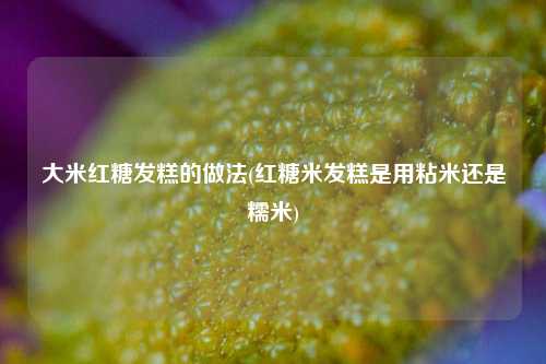 大米红糖发糕的做法(红糖米发糕是用粘米还是糯米)