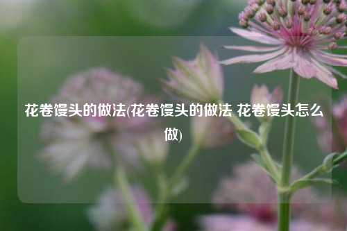 花卷馒头的做法(花卷馒头的做法 花卷馒头怎么做)