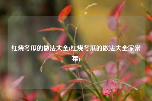 红烧冬瓜的做法大全(红烧冬瓜的做法大全家常菜)
