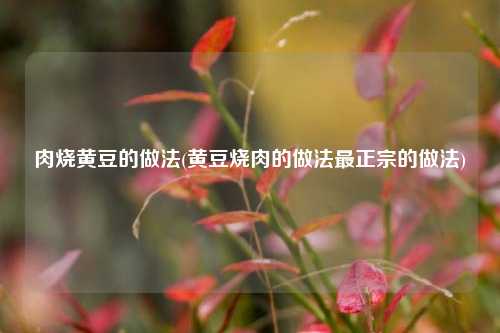 肉烧黄豆的做法(黄豆烧肉的做法最正宗的做法)