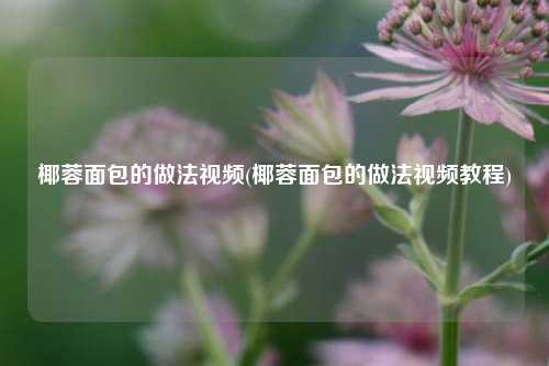 椰蓉面包的做法视频(椰蓉面包的做法视频教程)