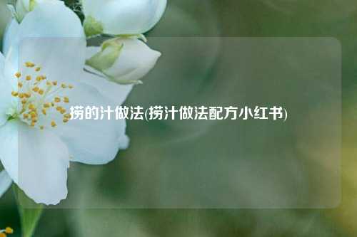捞的汁做法(捞汁做法配方小红书)