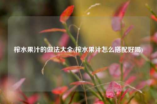 榨水果汁的做法大全(榨水果汁怎么搭配好喝)
