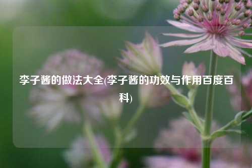 李子酱的做法大全(李子酱的功效与作用百度百科)