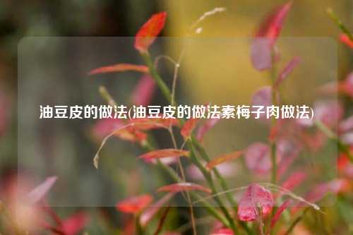 油豆皮的做法(油豆皮的做法素梅子肉做法)