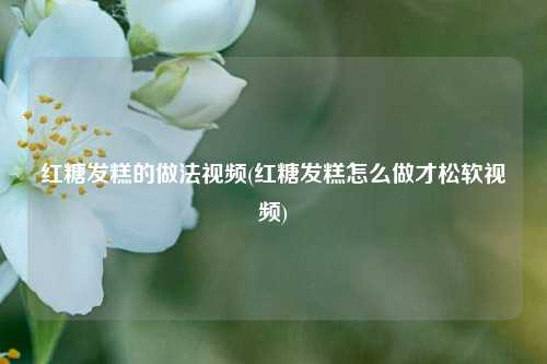 红糖发糕的做法视频(红糖发糕怎么做才松软视频)