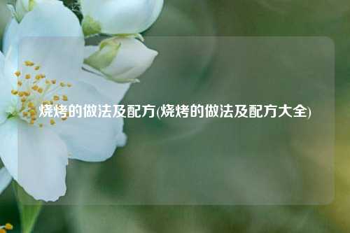 烧烤的做法及配方(烧烤的做法及配方大全)
