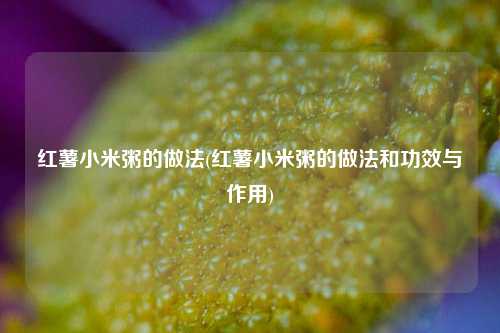 红薯小米粥的做法(红薯小米粥的做法和功效与作用)