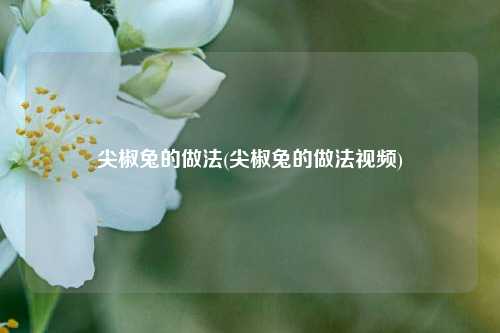 尖椒兔的做法(尖椒兔的做法视频)
