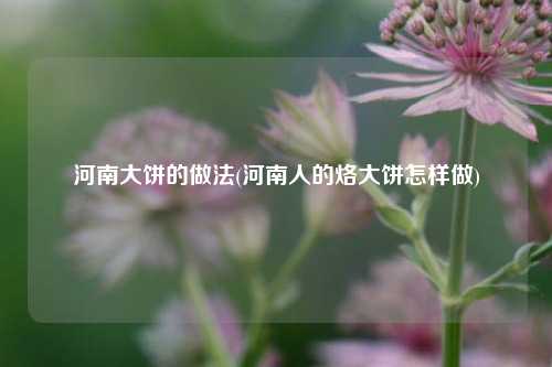 河南大饼的做法(河南人的烙大饼怎样做)